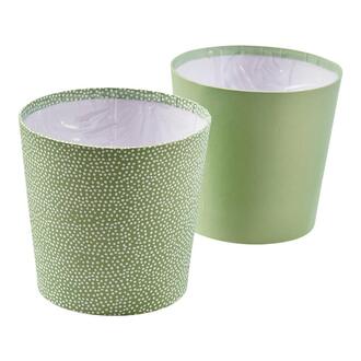 Papier Übertopf Green
