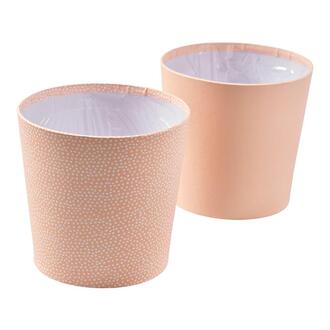 Papier Übertopf Rosy