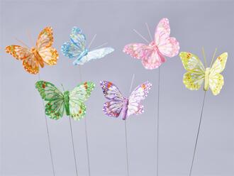 Feder Schmetterling Britta