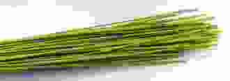 Elephant Reeds