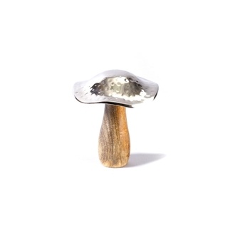 Wooden Mushroom Met. Cap/Flori