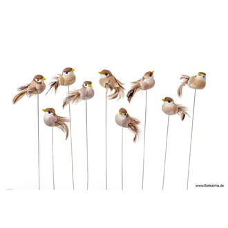 Feather Bird Joy/Natural