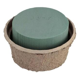 Oasis Biolit Schale