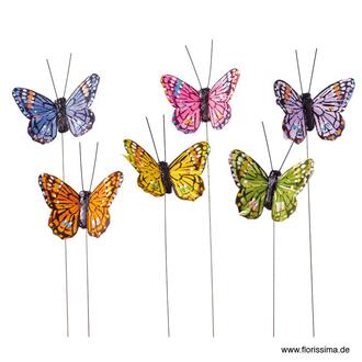 Feather Butterfly Color Mix