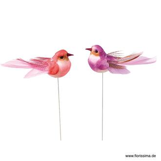 Feather Bird Jasmine