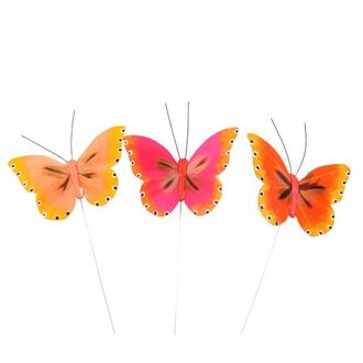 Feather Butterfly