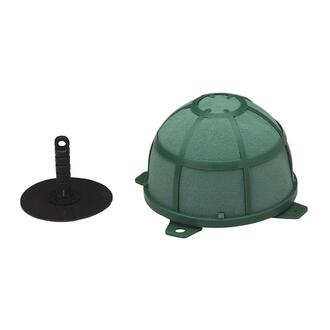 Oasis Powerstick Corso