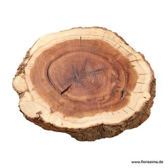 Wooden Tree Disc Natura