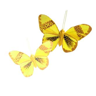 Feather Butterfly Clara