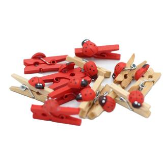 Wooden Ladybug Clip