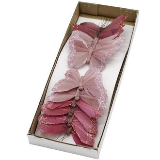 Feder Schmetterling Purple