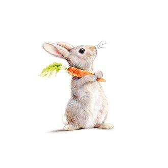 Easter Napkin Bunny With Carrot