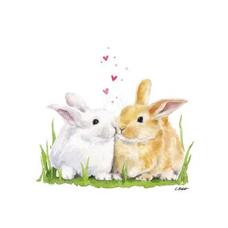 Easter Napkin Bunny Kisses