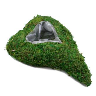 Cœur de Mousse Flore