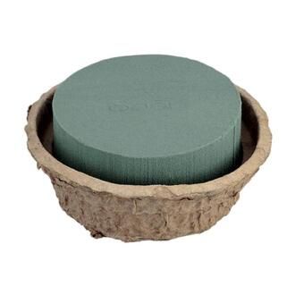 Oasis Biolit Schale