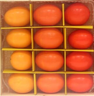 Chicken Egg Flora