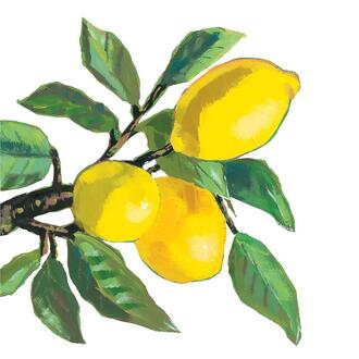 Lemon Napkin