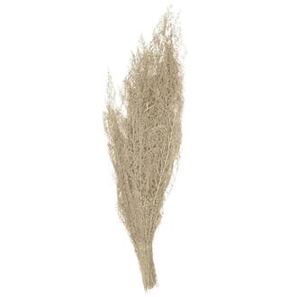 Brizzone Soft