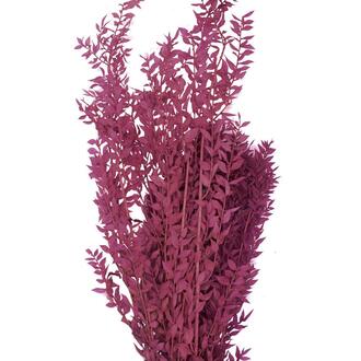 Ruskus