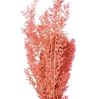 Ruskus