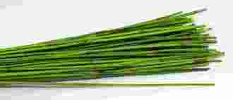 Elephant Reeds