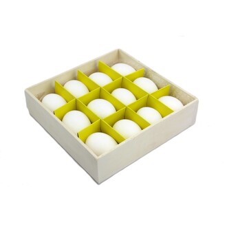 Chicken Egg
