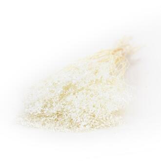 Gypsophila Ital.