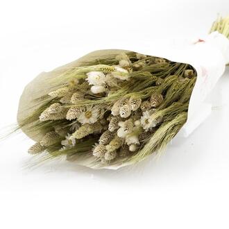 Dried Flowers Bouquet Helsinki/Dutch