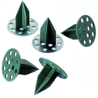 Oasis Pini Extra