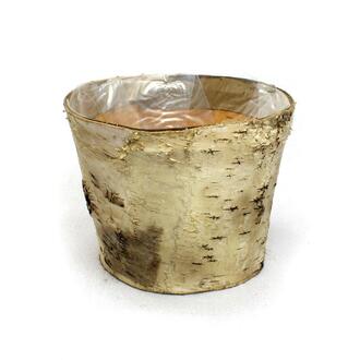 Birken Übertopf Hell