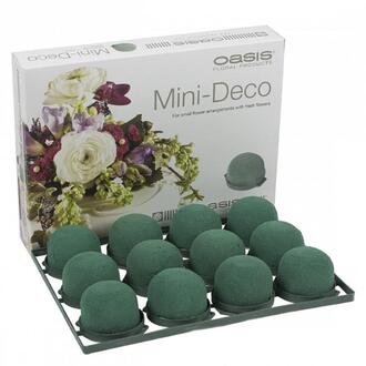 Oasis Mini Deco