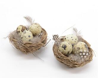 Nest mit Eiern