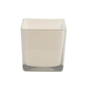 Glas Aquarium Würfel