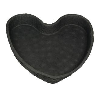 Oasis Biolit Pflanzherz Black