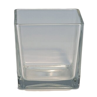Glas Aquarium Würfel