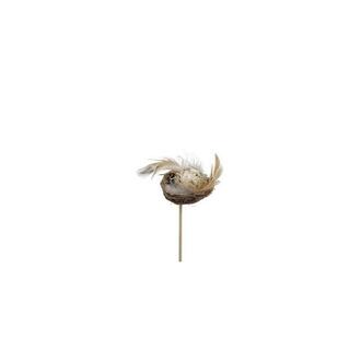 Nest With Egg Feather