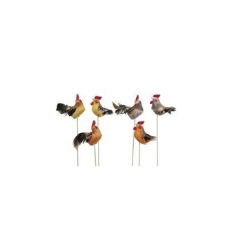 Feather Rooster/Chicken Eastern