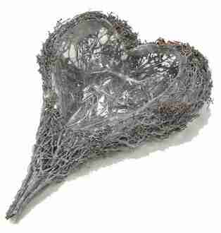 Vine Planting Heart Root