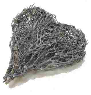 Vine Heart Root