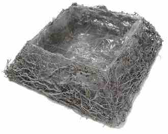 Vine Planting Cushion Root