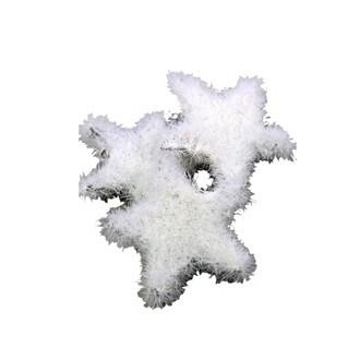 Wooden Star Frosti
