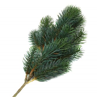 Pic À Sapin en Plastique Montana