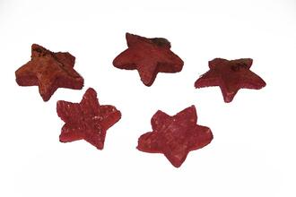 Coconut Star Bremen
