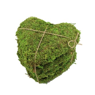 Moss Heart Flora