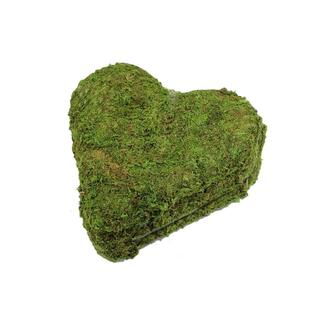 Moss Heart Flora
