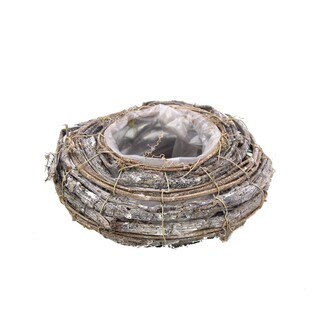 Reben Pflanzschale Borke/Rondo