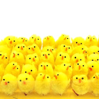 Chenille Chicks