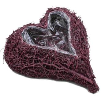 Vine Plant Heart Burgundy