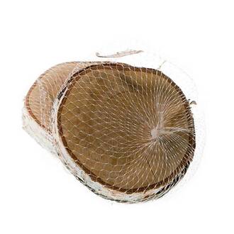 Birken Scheibe Flori