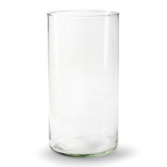 Glas Zylindervase Sari/Arsenal